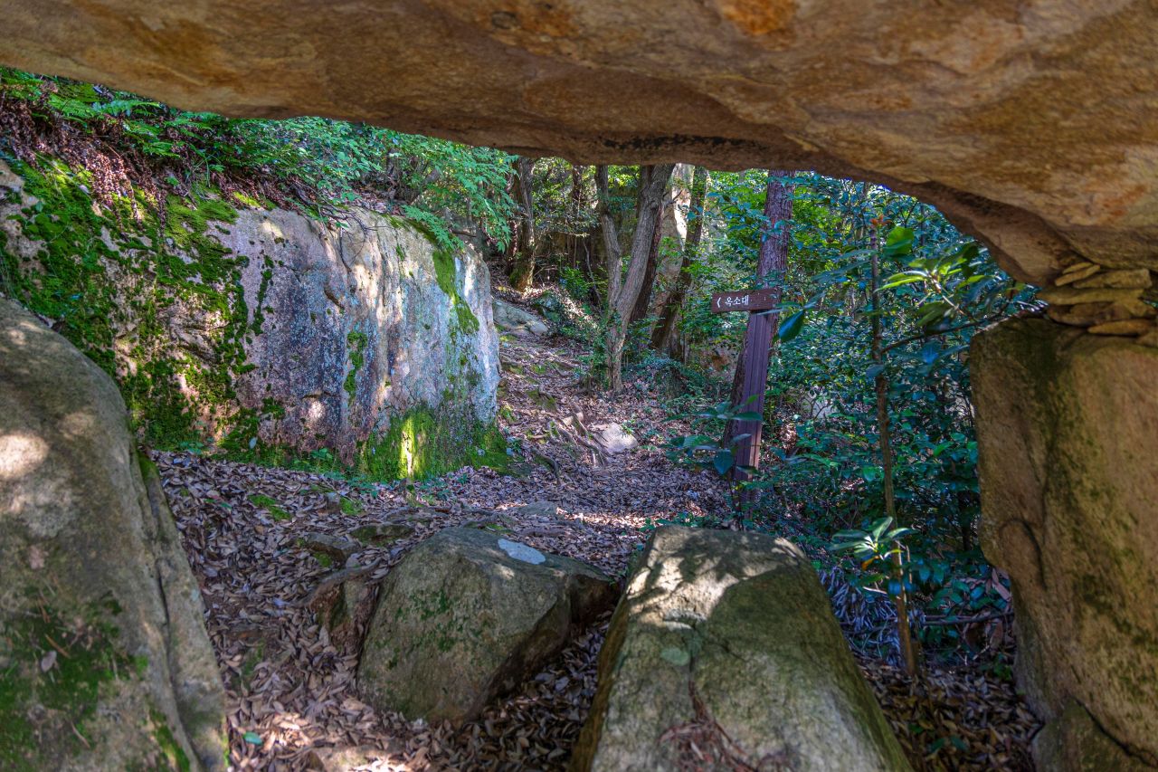 보길도 윤선도 원림