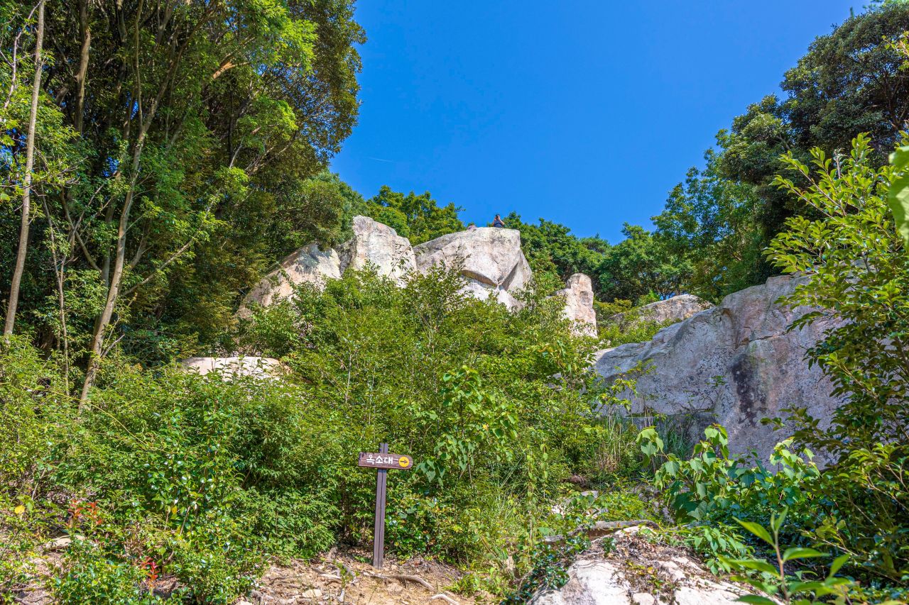 보길도 윤선도 원림