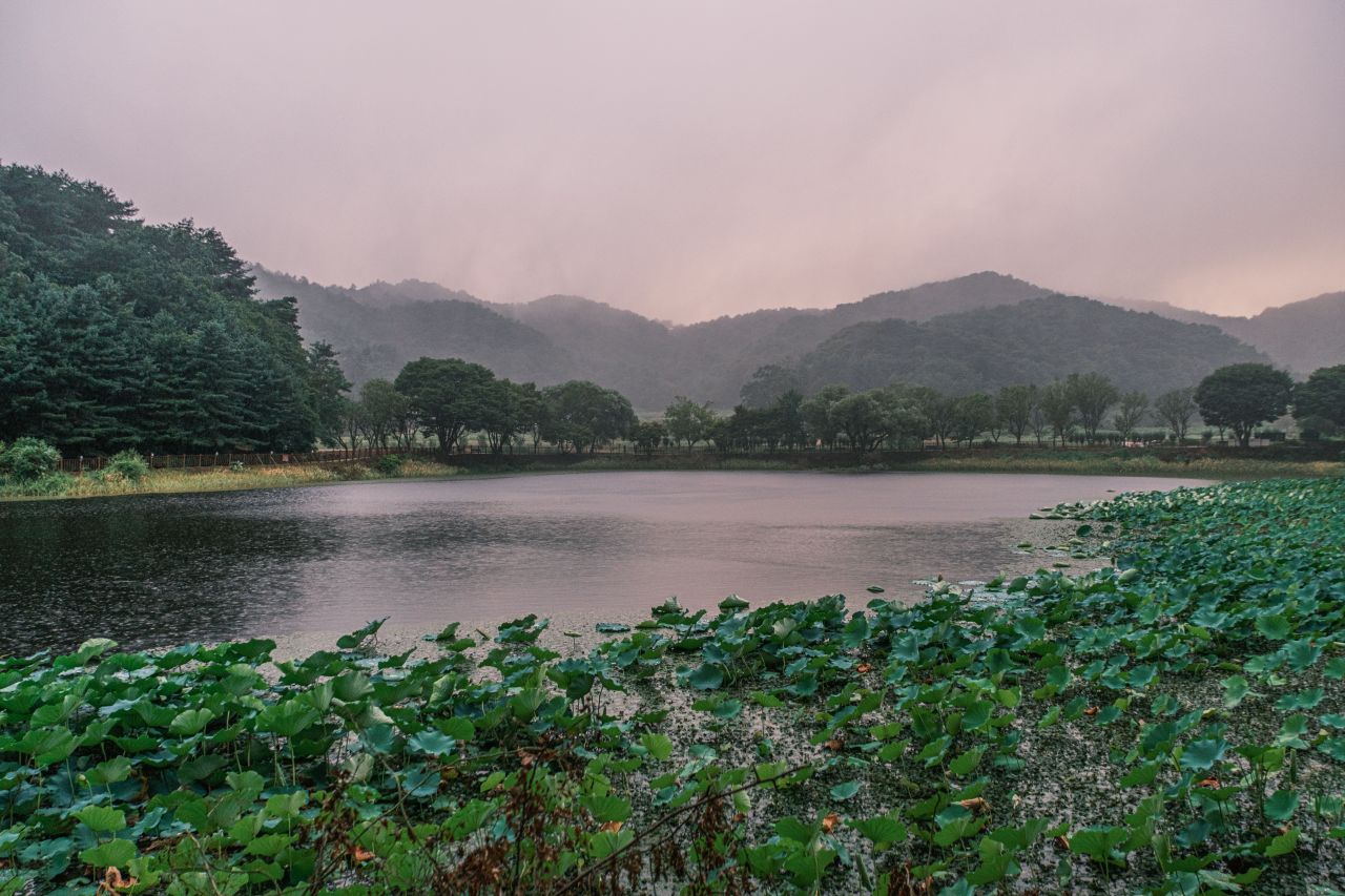 상당산성 자연마당