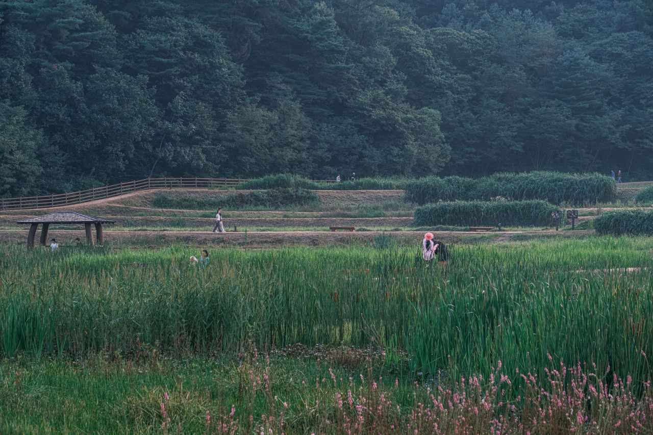 상당산성 자연마당