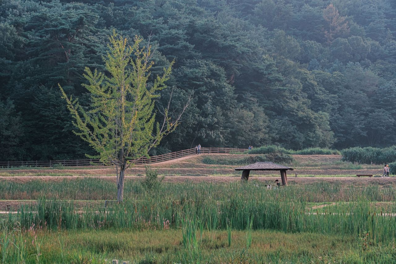 상당산성 자연마당