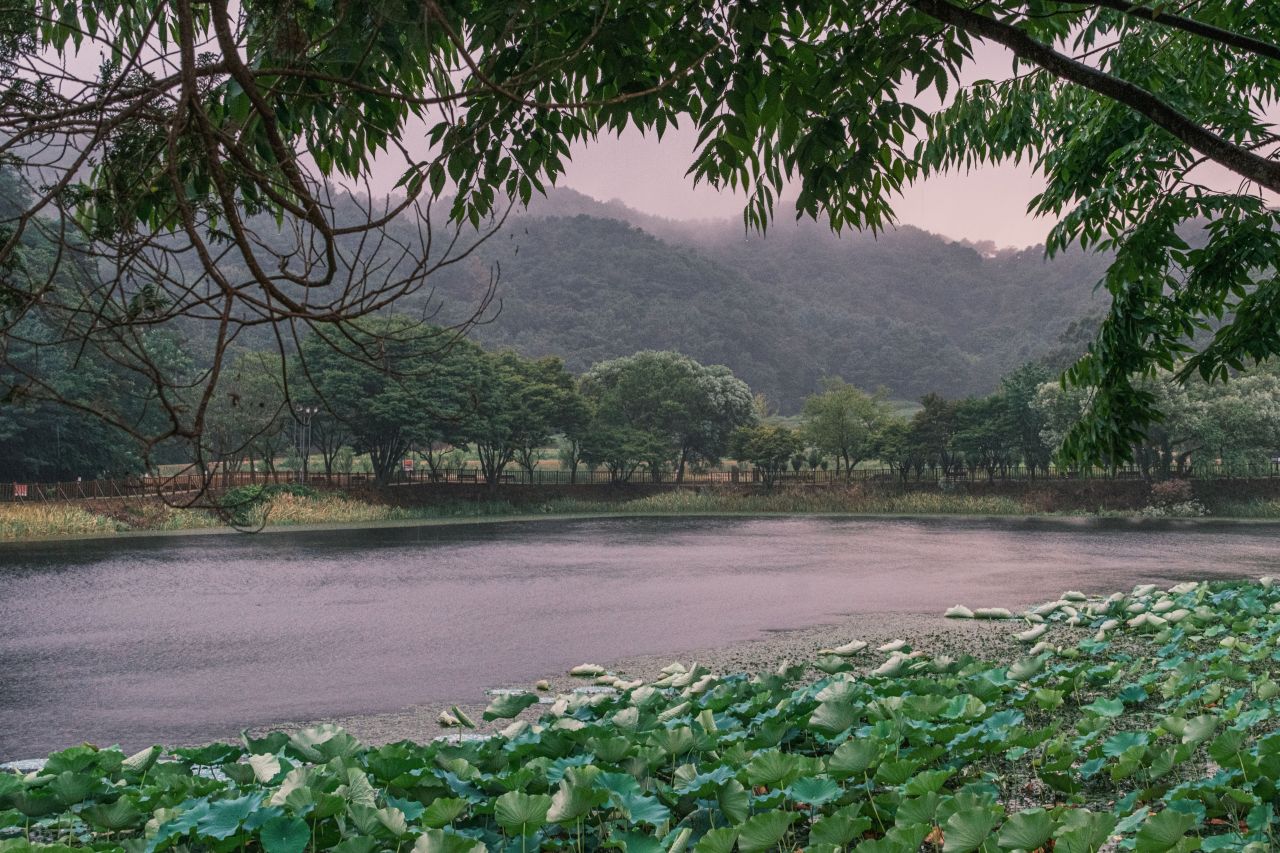 상당산성 자연마당