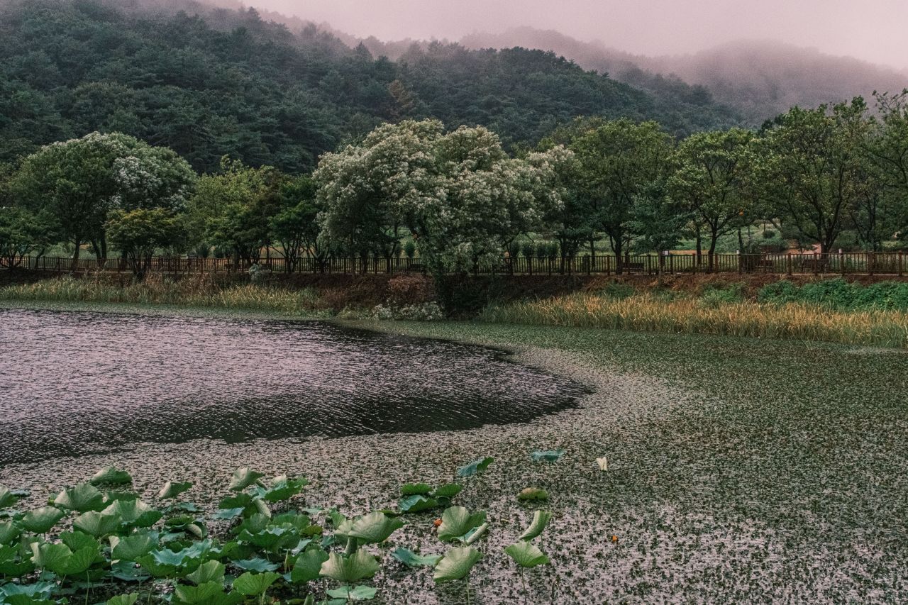 상당산성 자연마당