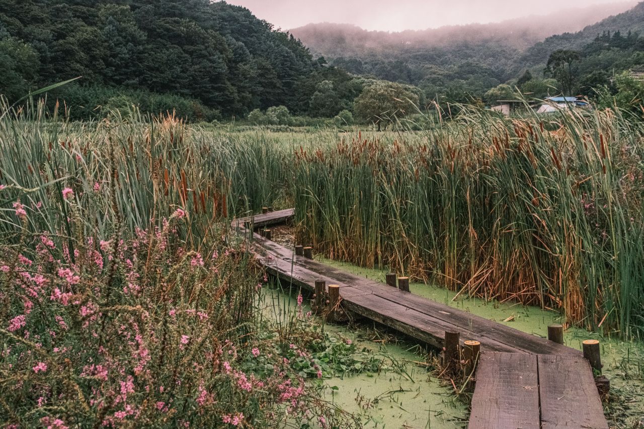 상당산성 자연마당