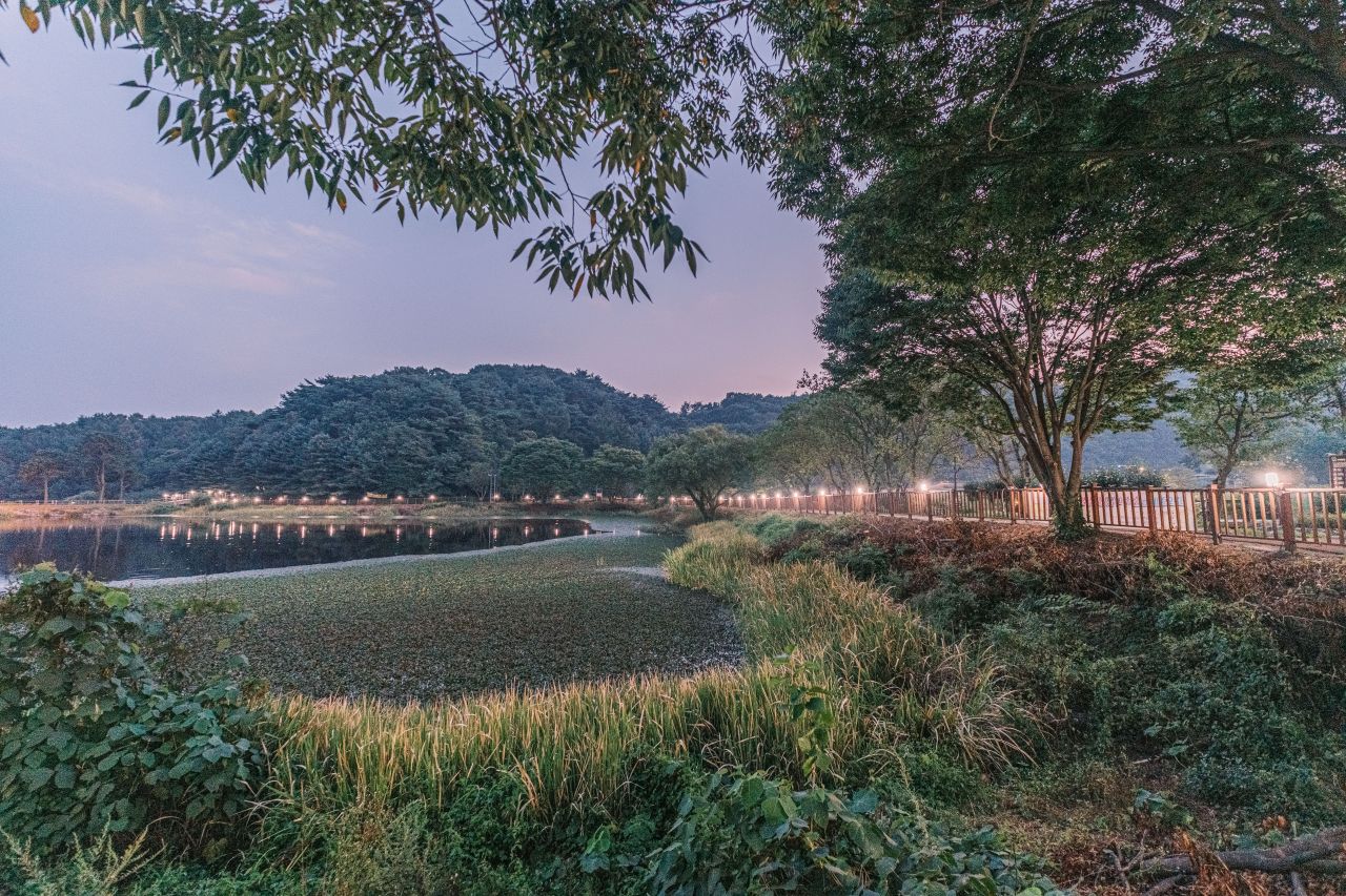 상당산성 자연마당