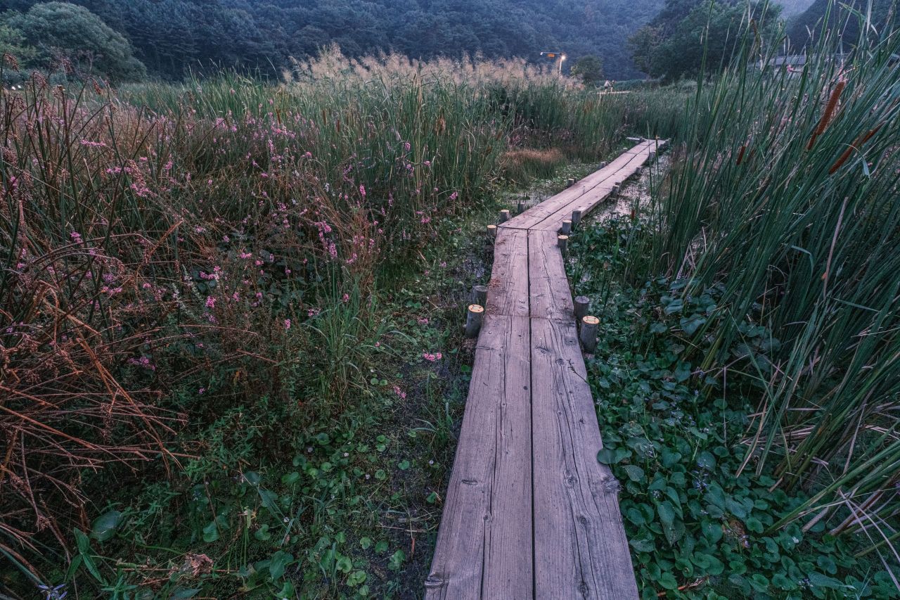 상당산성 자연마당
