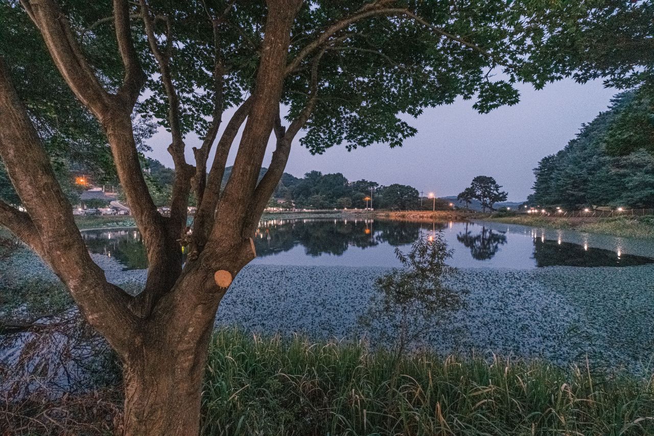 상당산성 자연마당