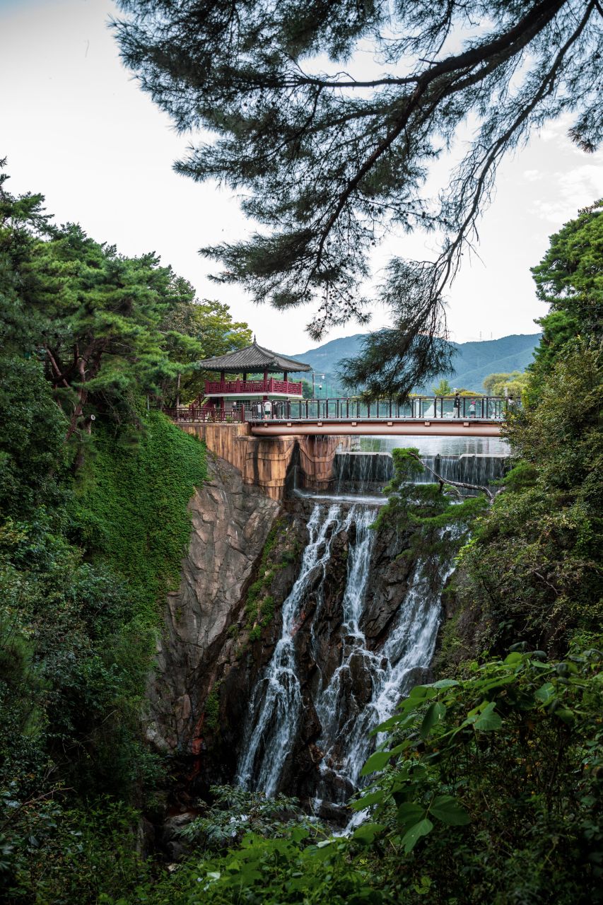 제천 의림지와 제림