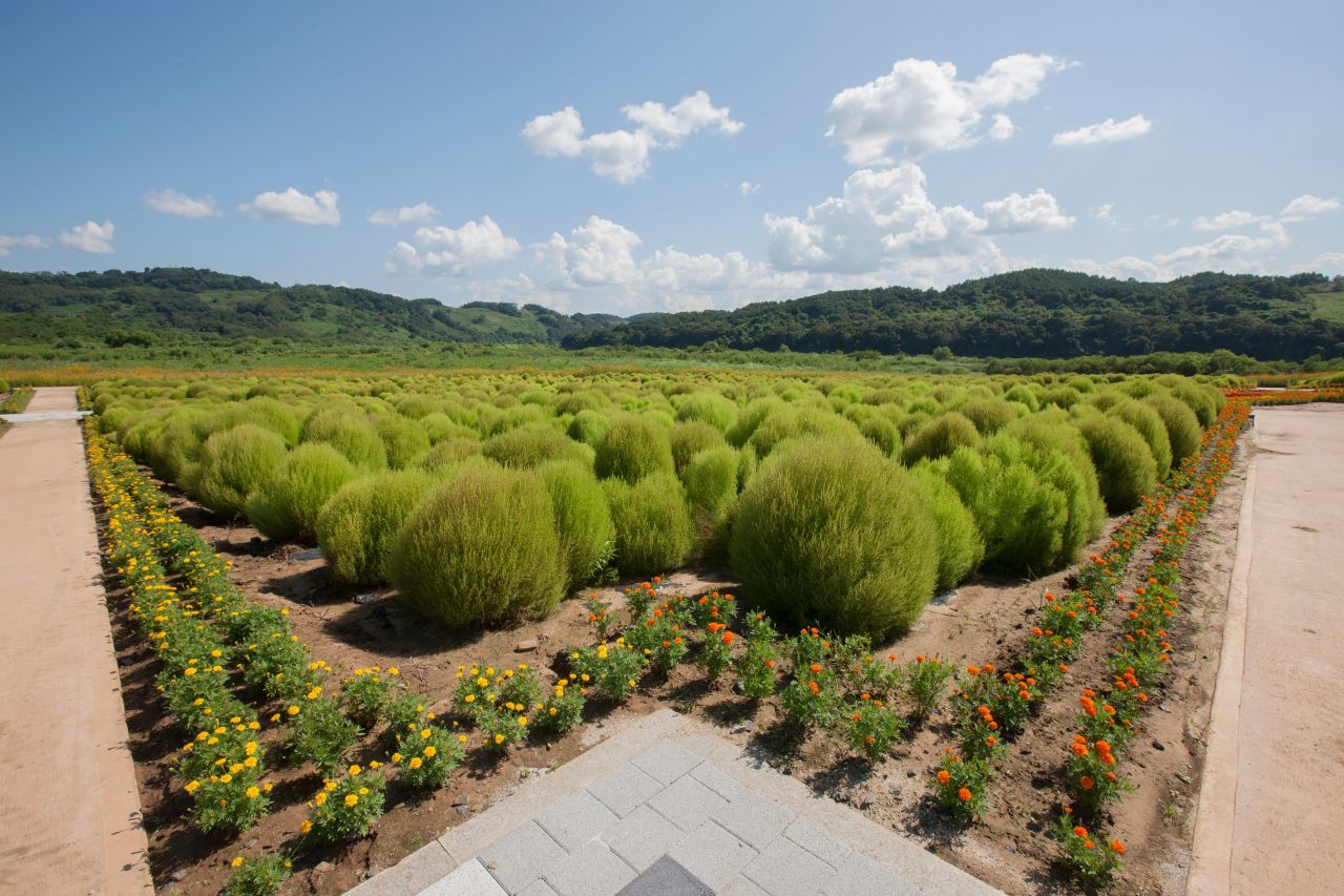 임진강 댑싸리공원
