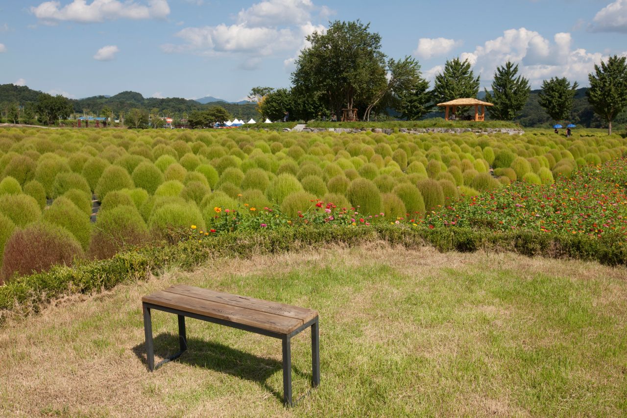 임진강 댑싸리공원