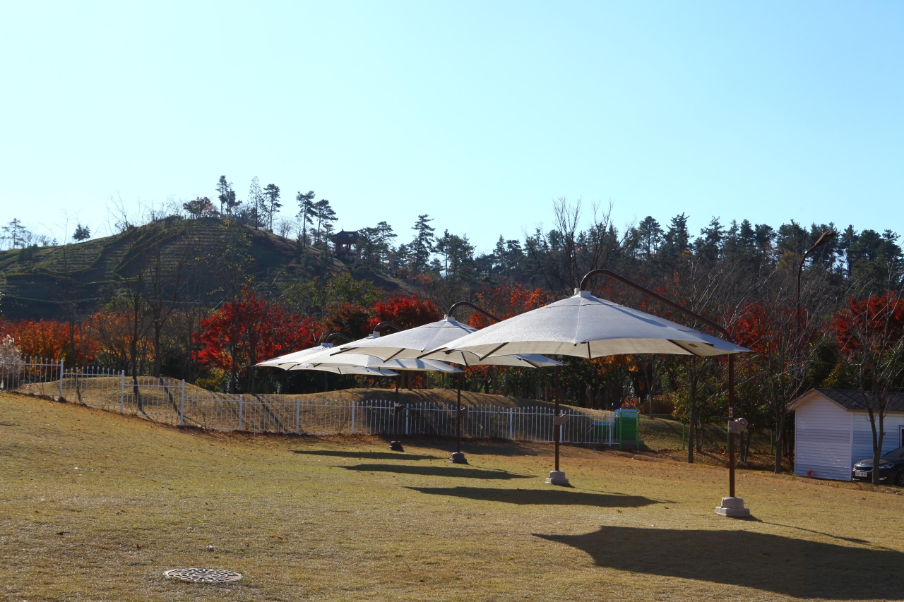 순천만국가정원