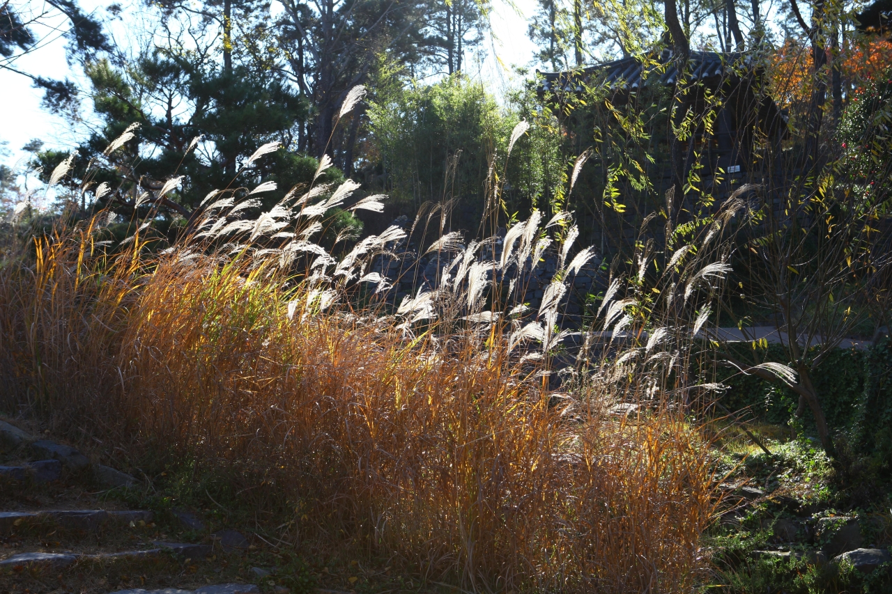 순천만국가정원