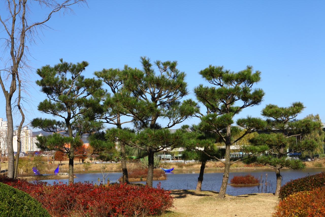 순천만국가정원