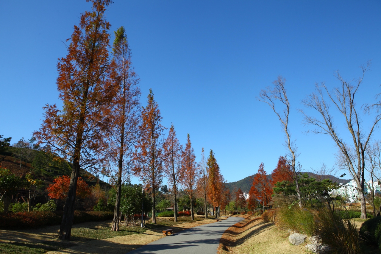 순천만국가정원