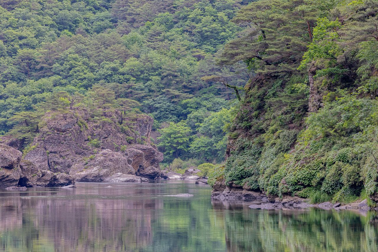 영월 어라연 일원