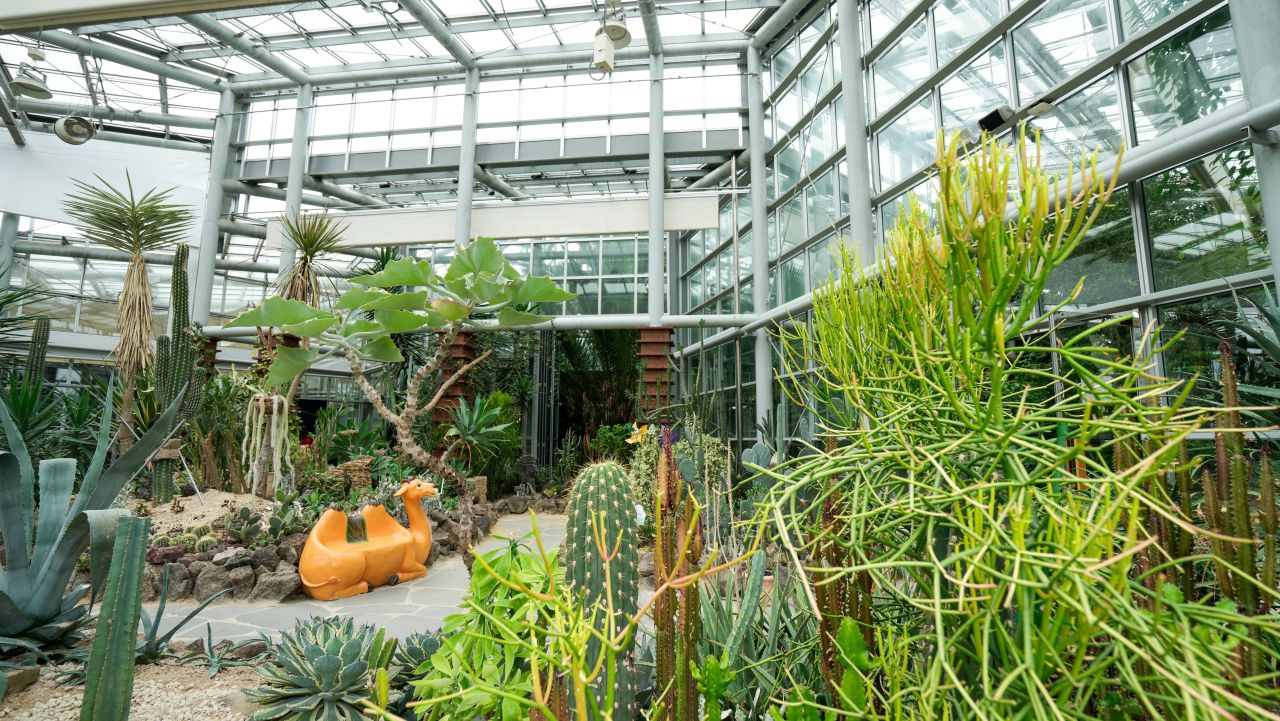 유기농산업복합서비스지원단지