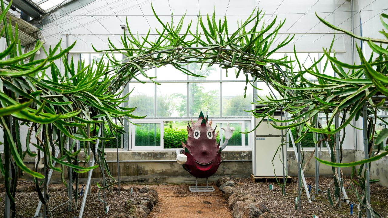 유기농산업복합서비스지원단지