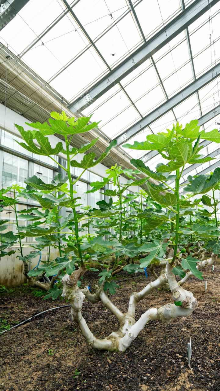 유기농산업복합서비스지원단지