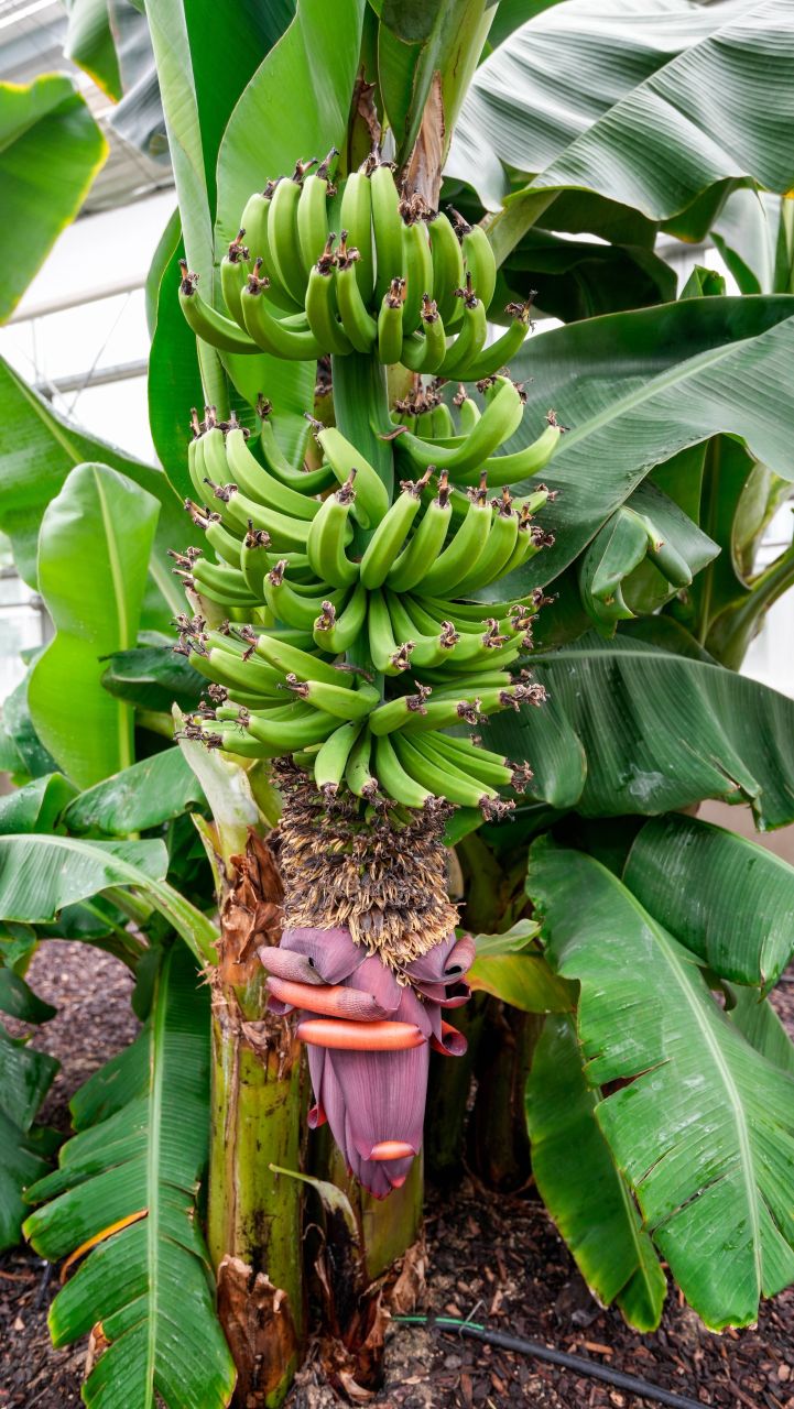 유기농산업복합서비스지원단지