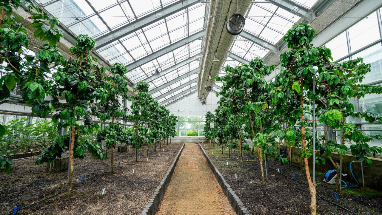 유기농산업복합서비스지원단지