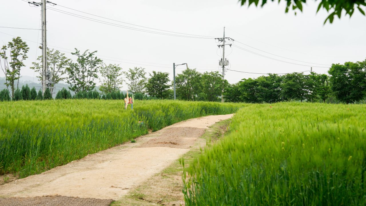 유기농산업복합서비스지원단지