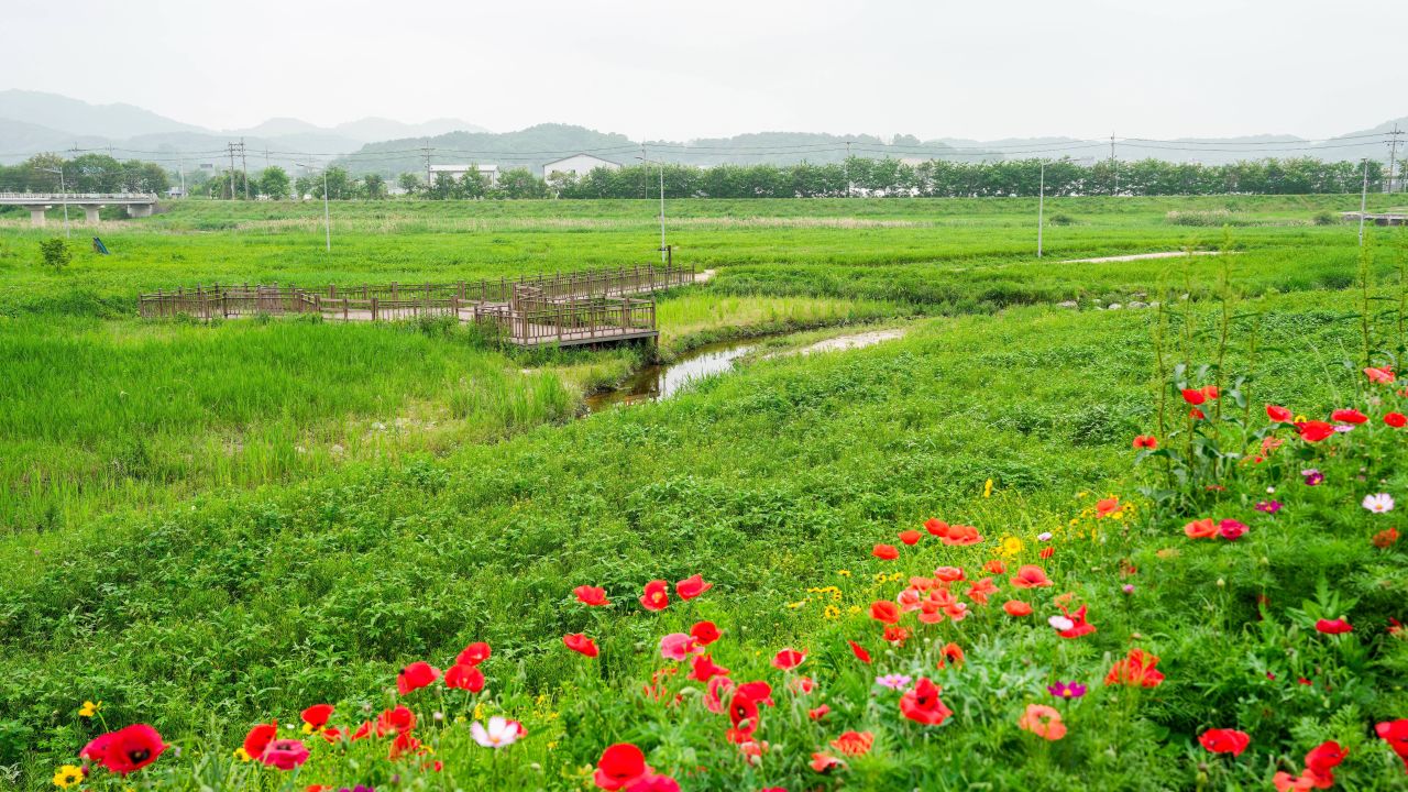 유기농산업복합서비스지원단지