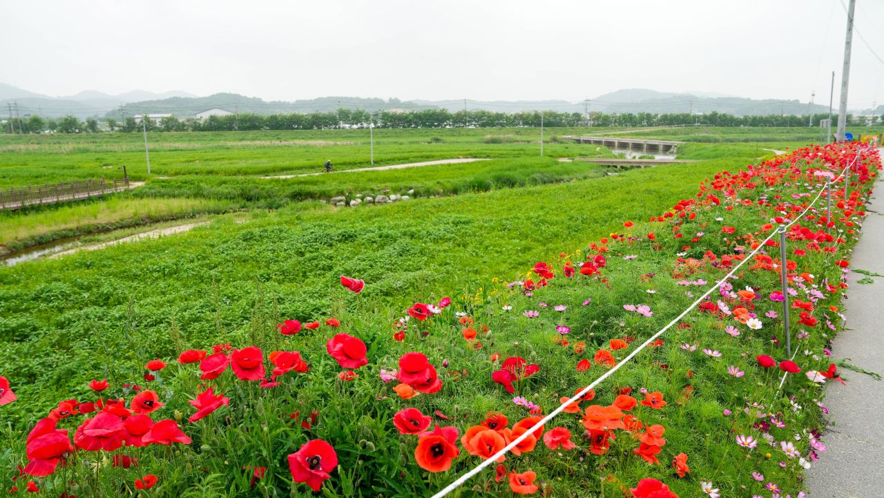 유기농산업복합서비스지원단지