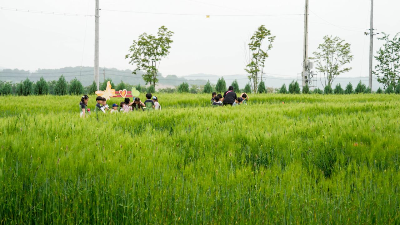 유기농산업복합서비스지원단지