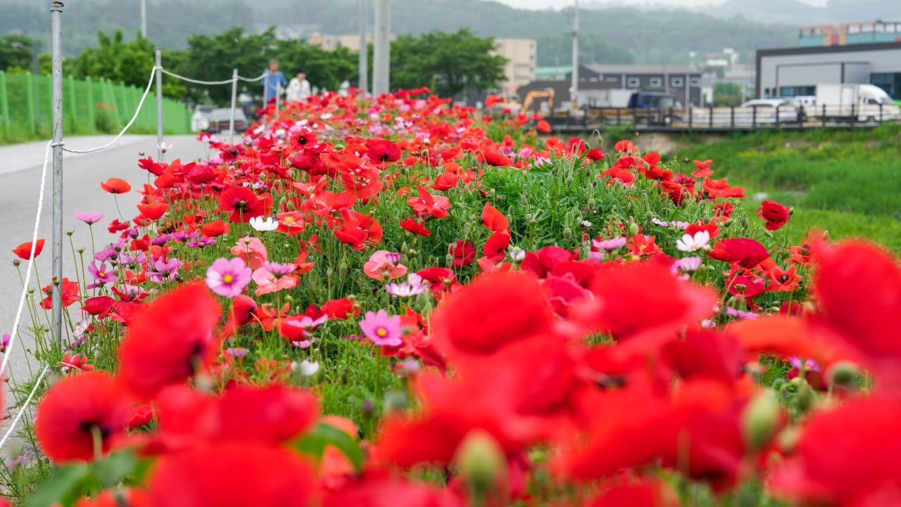 유기농산업복합서비스지원단지