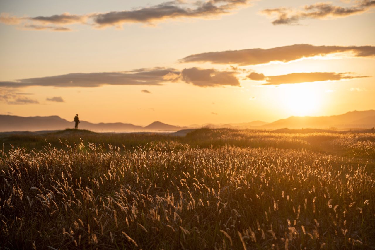다대포해수욕장 (2019)