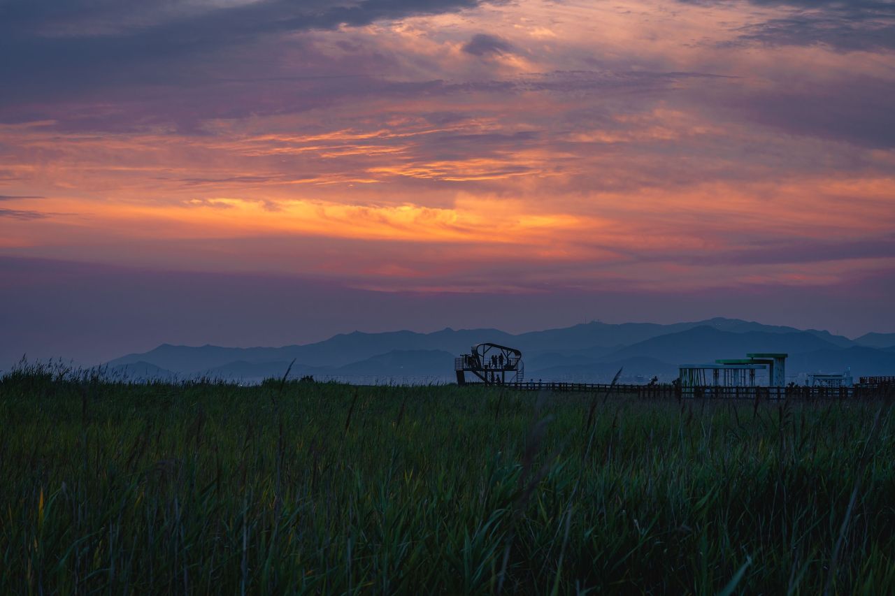 다대포해수욕장 (2019)