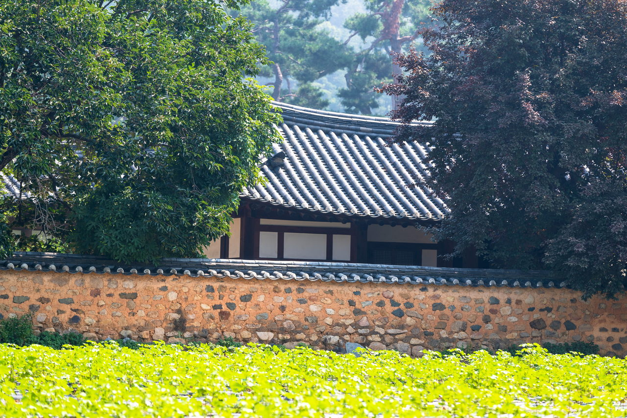 남평문씨본리세거지