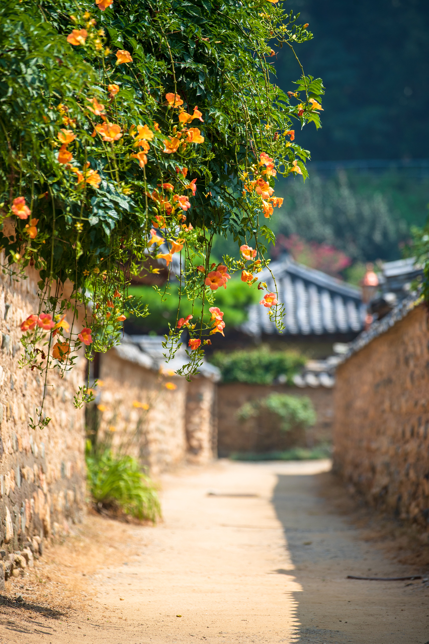 남평문씨본리세거지