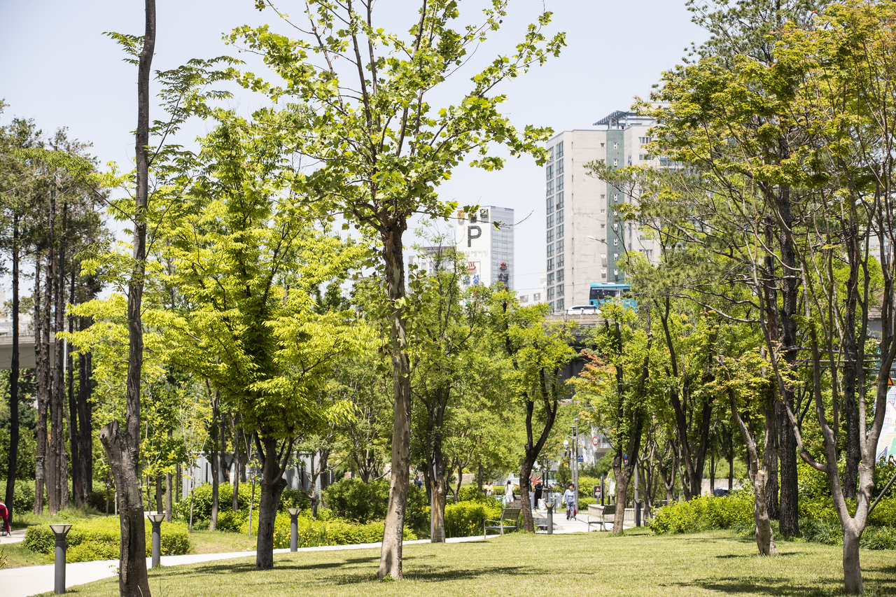 연남동 경의선숲길