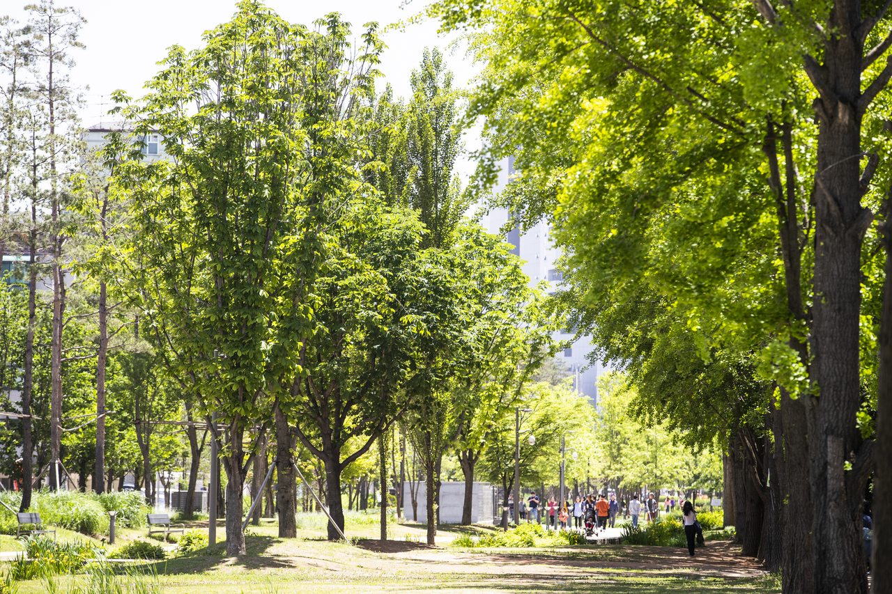 연남동 경의선숲길