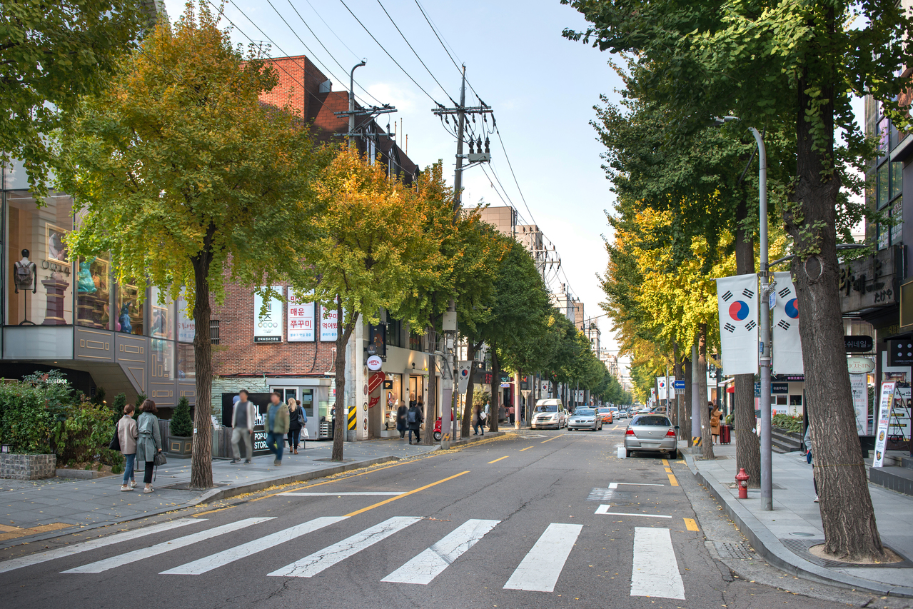 신사동 가로수길