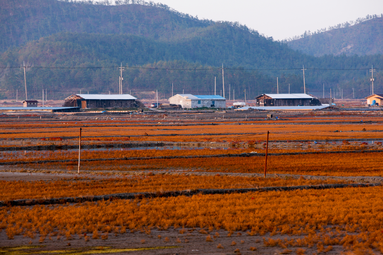 신안 증도 태평염전