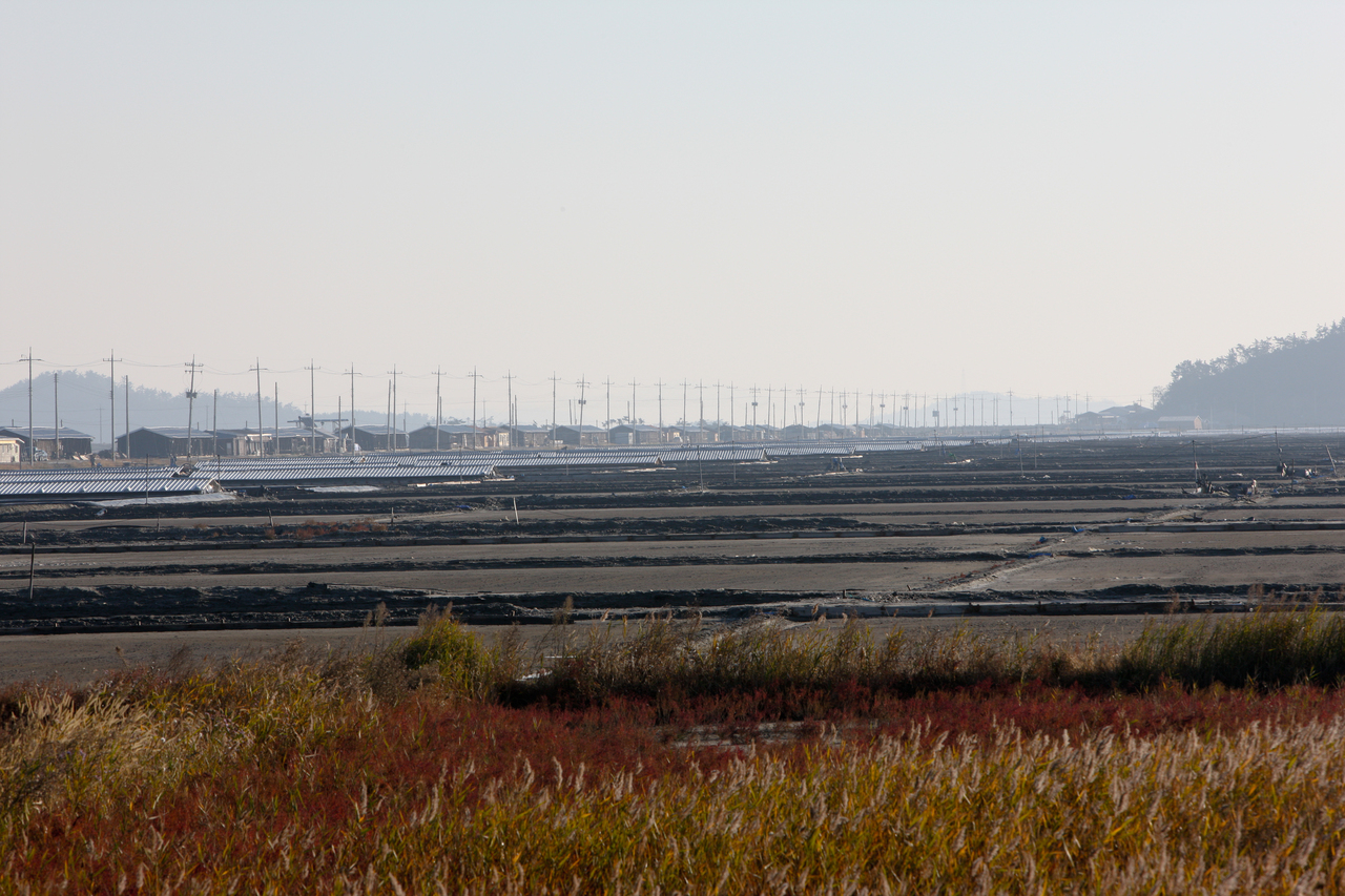 신안 증도 태평염전