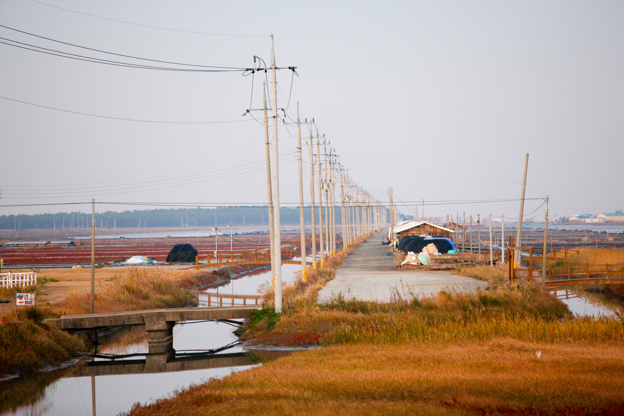 신안 증도 태평염전