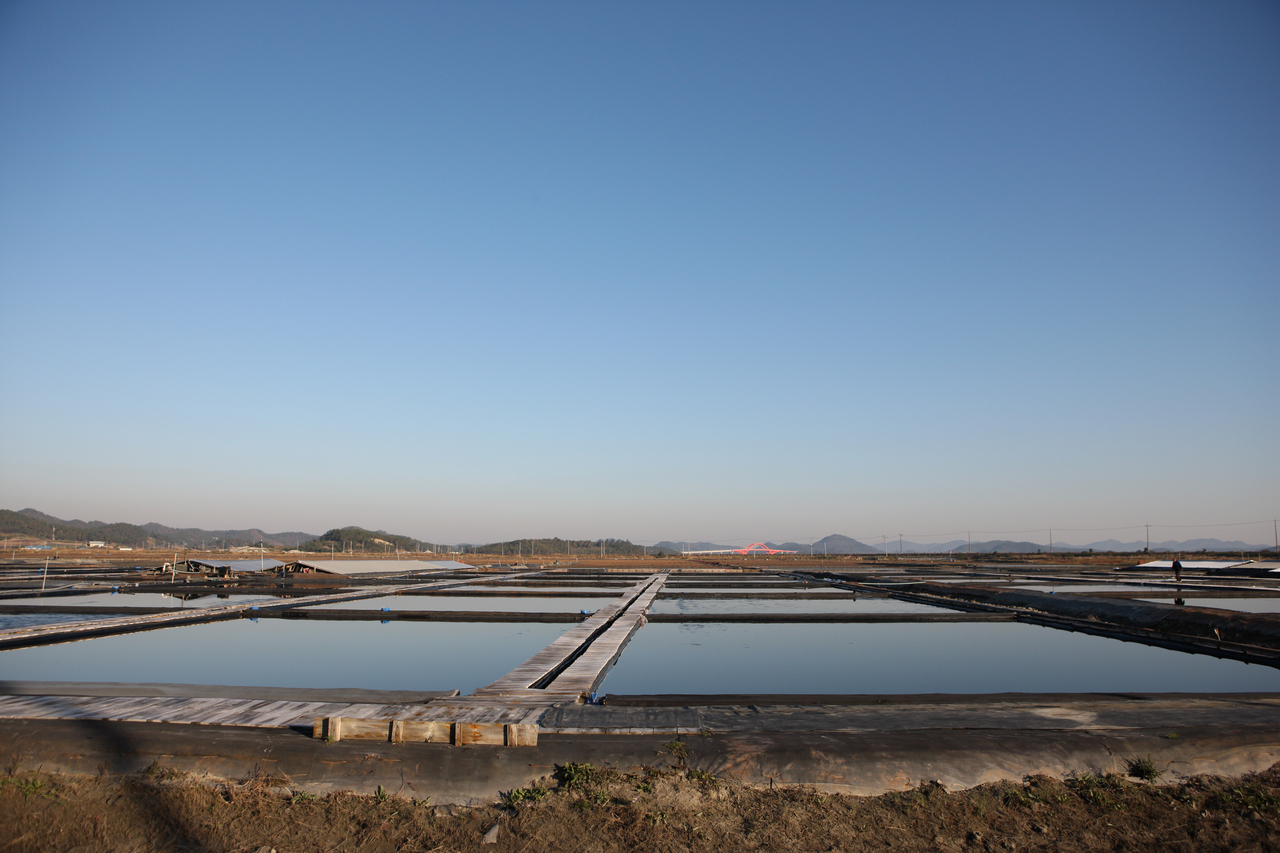 신안 증도 태평염전