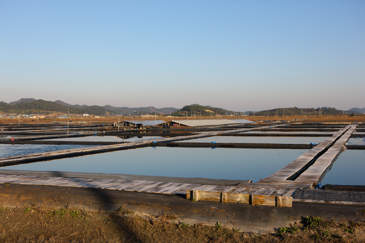 신안 증도 태평염전