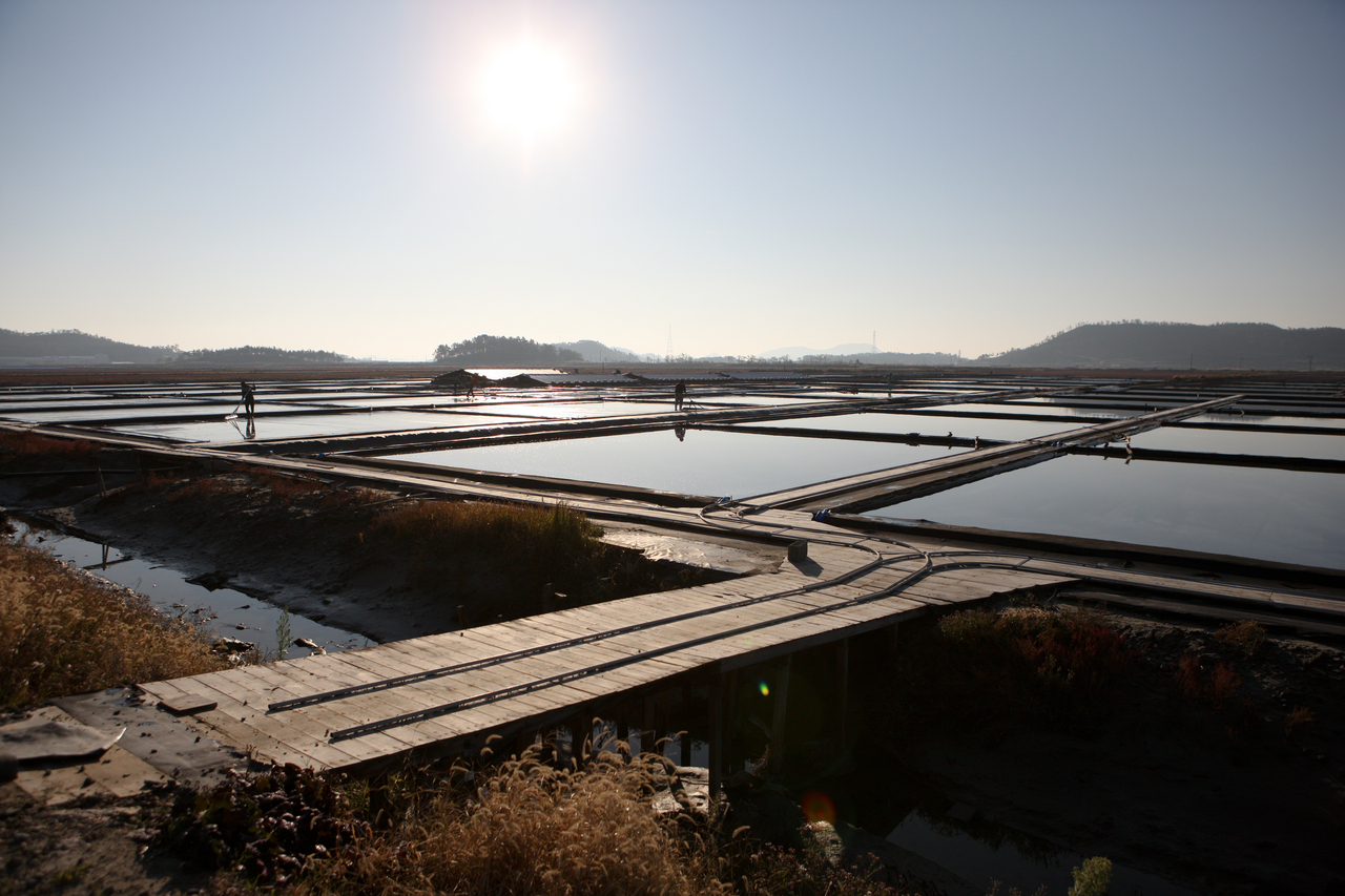 신안 증도 태평염전