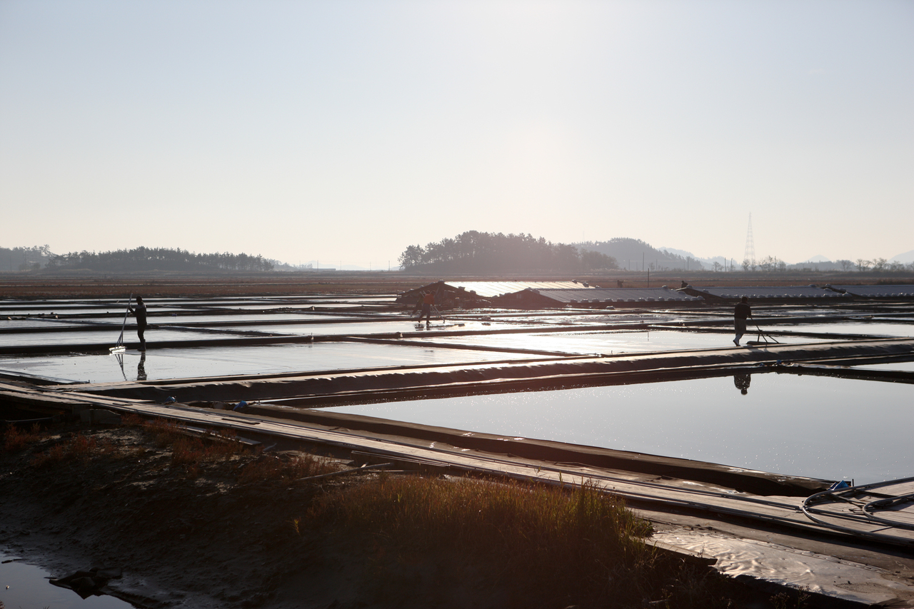 신안 증도 태평염전