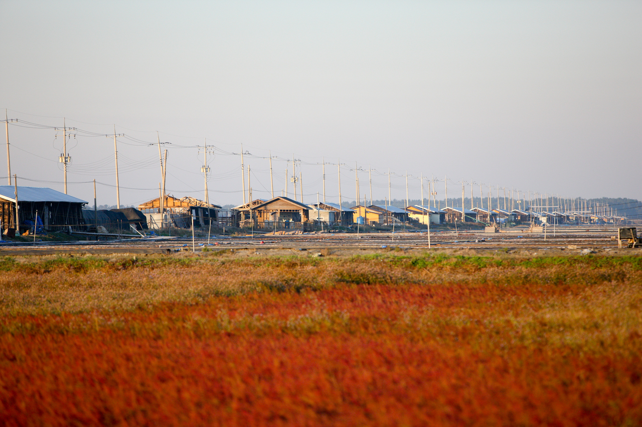 신안 증도 태평염전