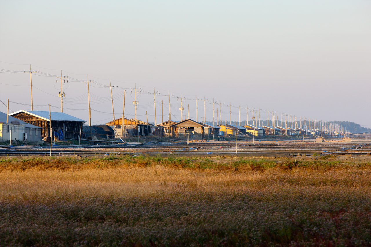 신안 증도 태평염전