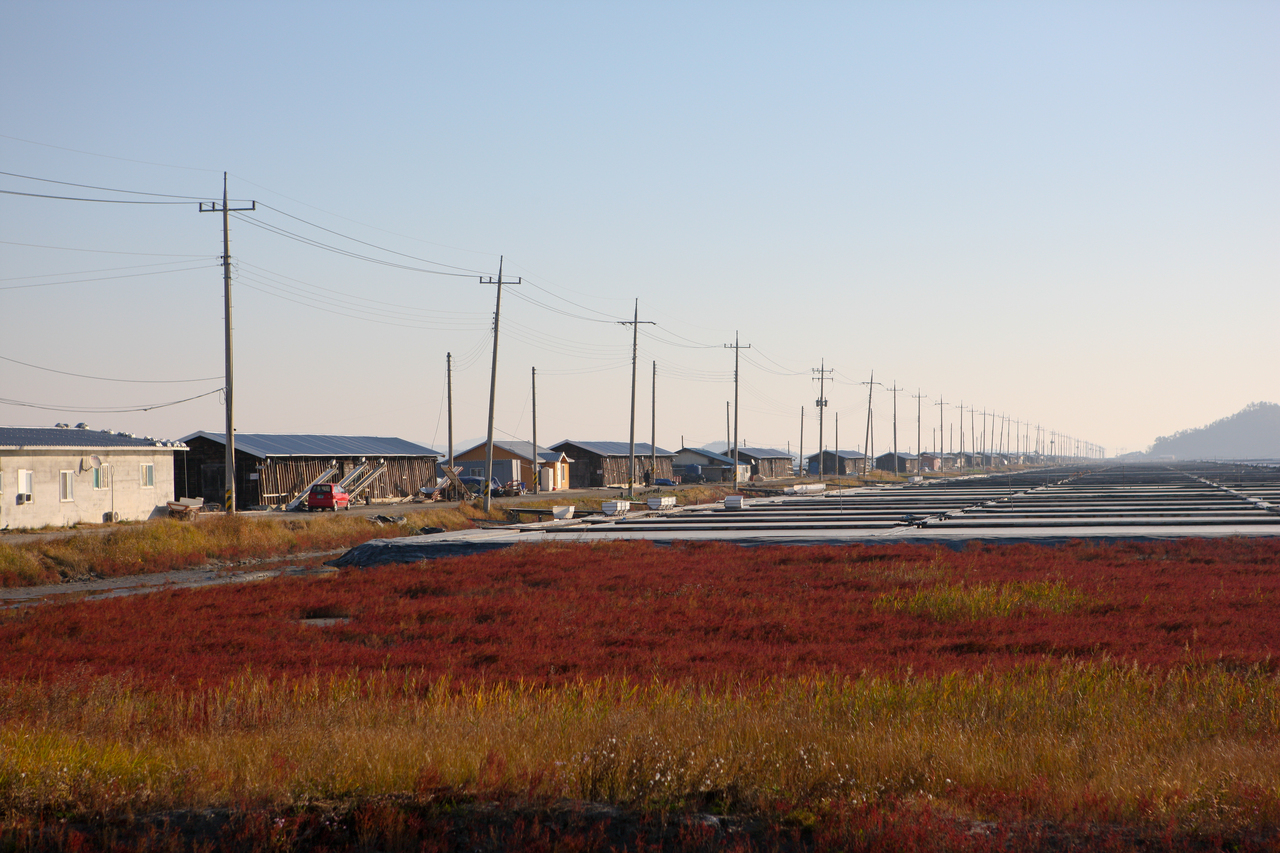 신안 증도 태평염전