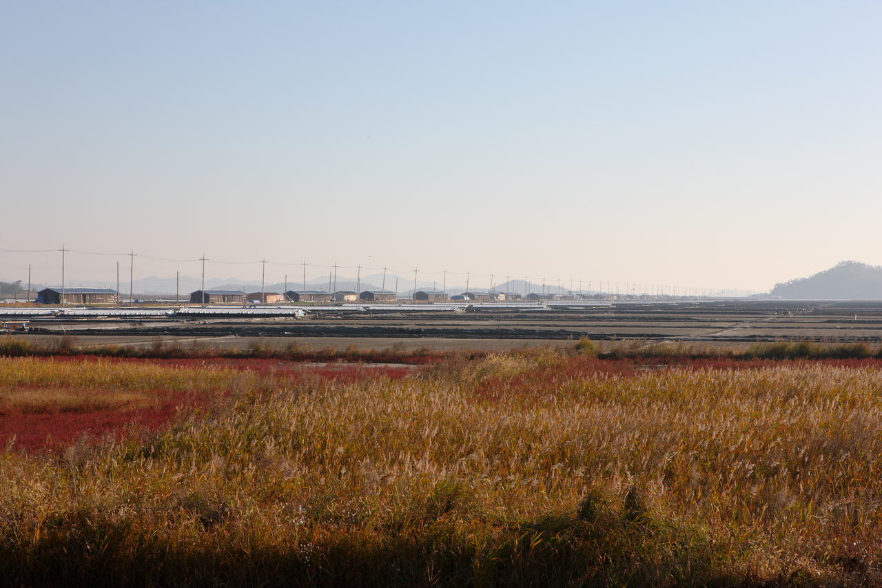 신안 증도 태평염전