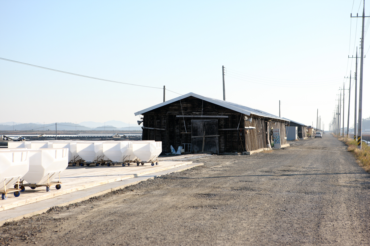 신안 증도 태평염전