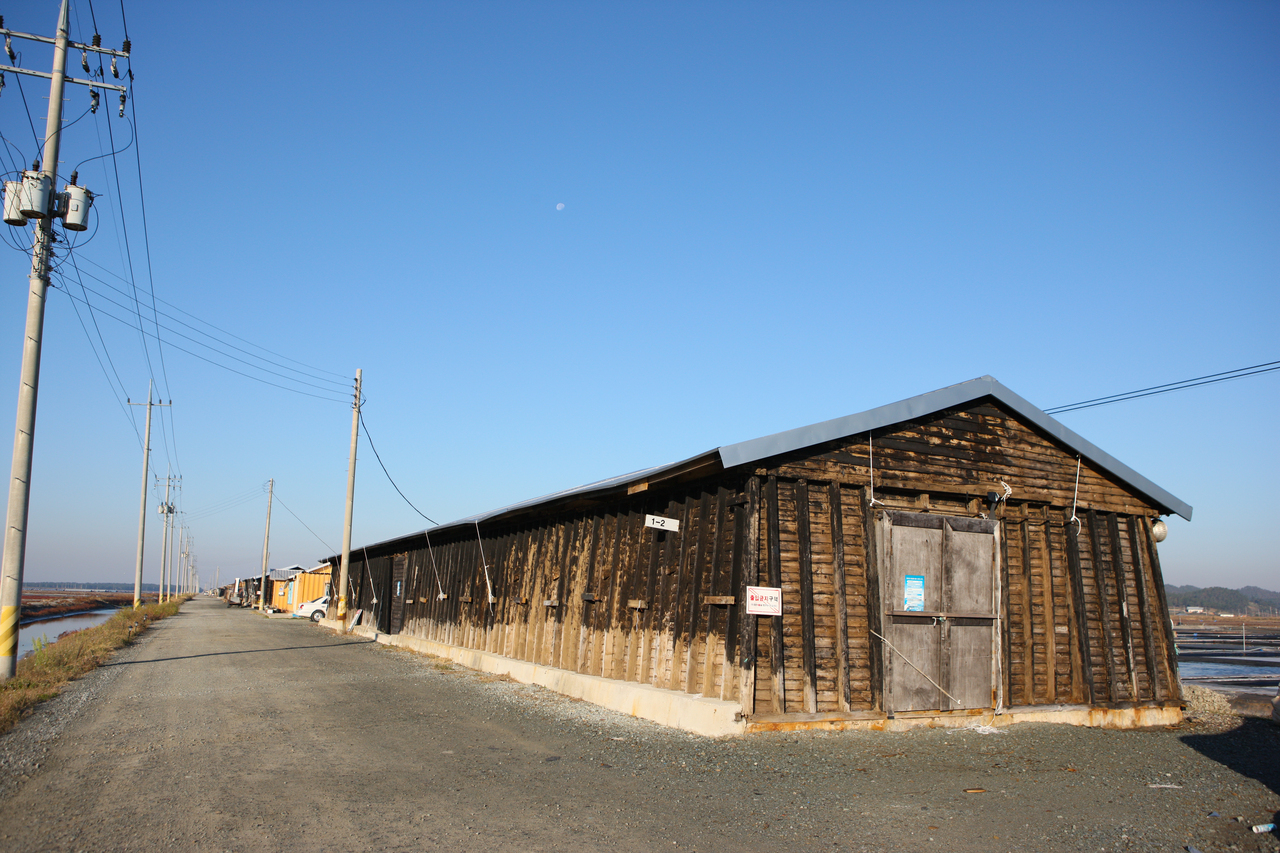 신안 증도 태평염전