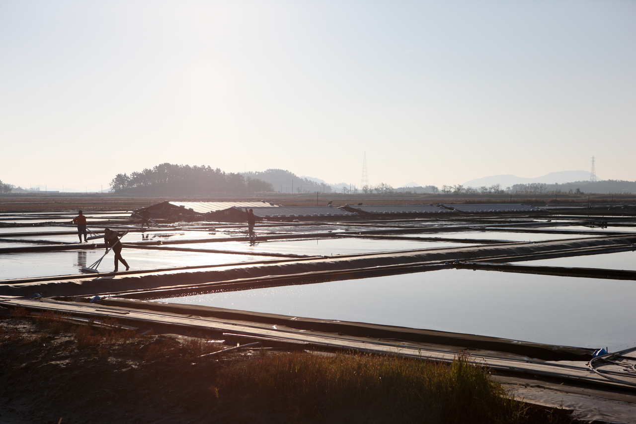 신안 증도 태평염전